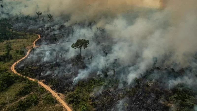 Amazônia tem mês de junho com maior número de queimadas desde 2007; no Cerrado, índice é o maior desde 2010￼