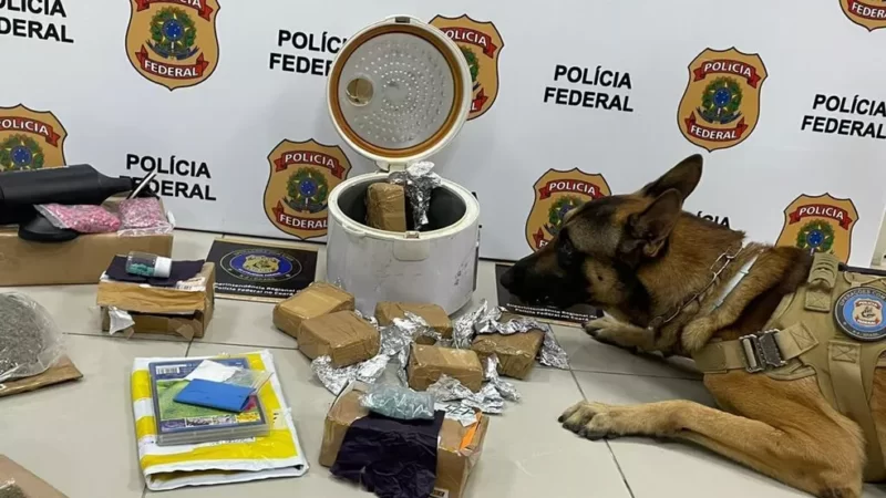PF apreende cocaína, maconha e comprimidos de ecstasy em 10 encomendas postais nos Correios de Fortaleza