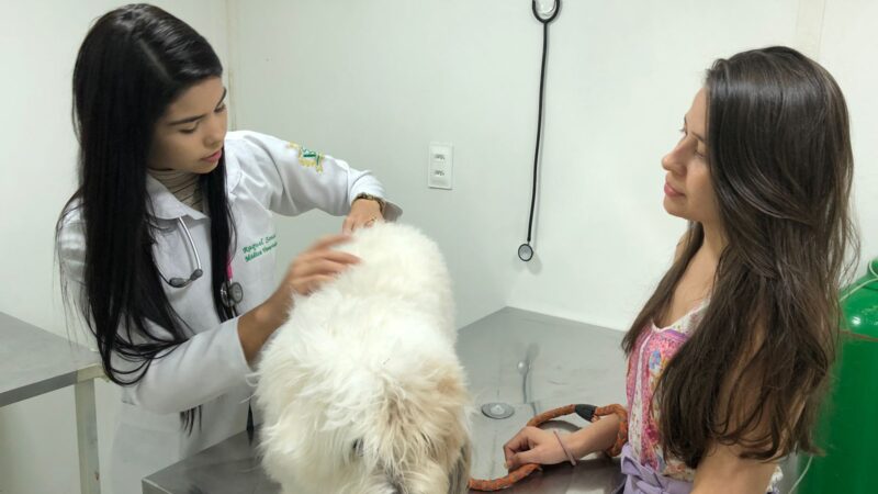 População do entorno do Lago Jacarey é beneficiada com atendimento veterinário e outras atividades