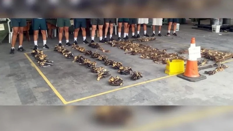 Tribunal de Justiça do Ceará envia 479 armas de fogo ao Exército para destruição