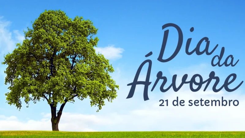 No Dia da Árvore, Prefeitura de Fortaleza lança Projeto Sementinha, que visa trabalhar educação ambiental nas escolas