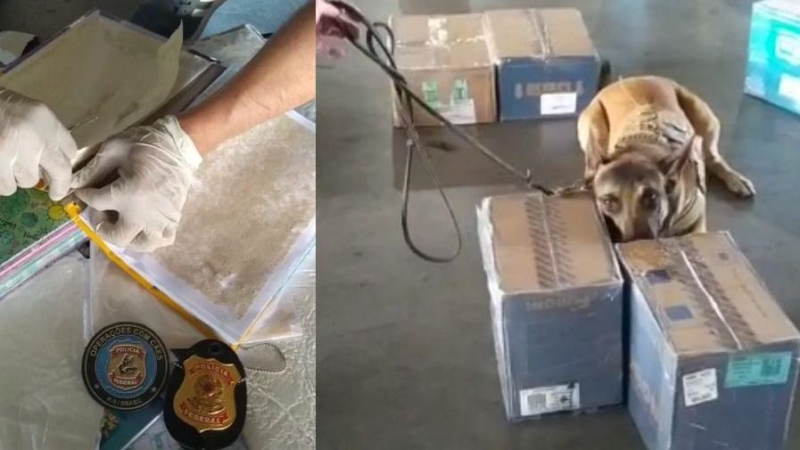 Pelo segundo dia seguido, PF apreende cocaína em carga no Aeroporto de Fortaleza
