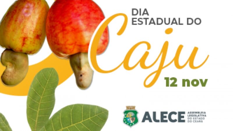 Maior produtor de castanha de caju do País, setor enfrenta desafios no Ceará
