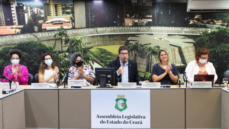 Comissão debate qualificação de dados dos casos de feminicídios no Ceará