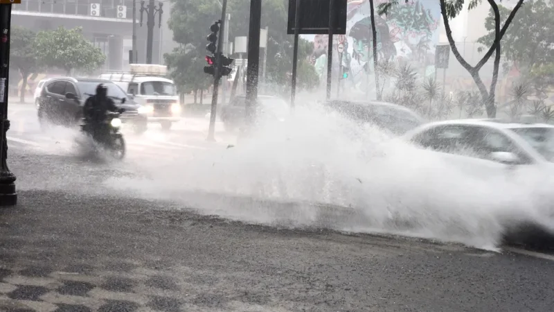 Chuva derruba árvores, provoca falha de energia no Metrô e coloca cidade de SP em estado de atenção para alagamentos