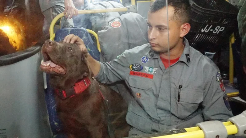 Bombeiros, médicos e cães farejadores de SP embarcam para a Turquia para ajudar no resgate de vítimas do terremoto