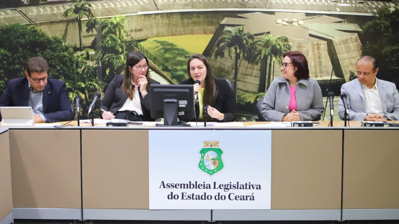 Comissões da Alece aprovam realização de audiências e visitas
