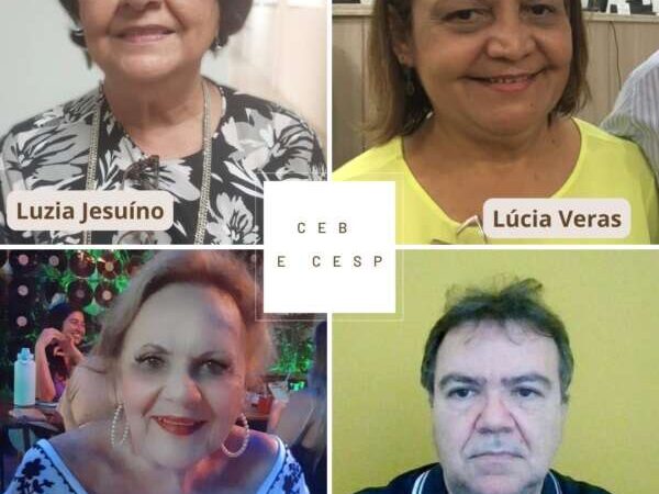 Câmaras de Educação do CEE ganham novos gestores