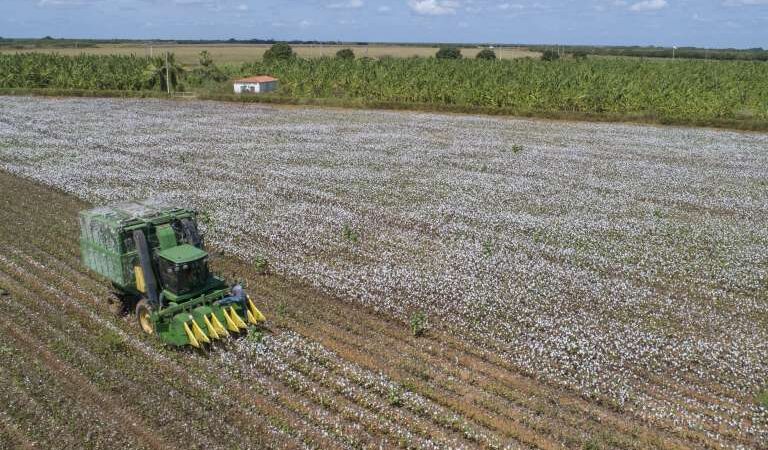 Participação da RMF no PIB cearense cai e do Interior cresce