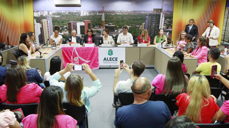 Desafios do enfrentamento ao câncer de mama no Ceará são debatidos na Alece