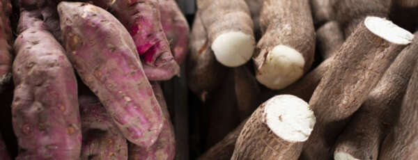 Batata-doce a R$ 2,60/kg na Ceasa em Maracanaú