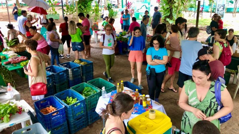 Feira Agroecológica no Parque do Cocó incentiva consumo de alimentos saudáveis
