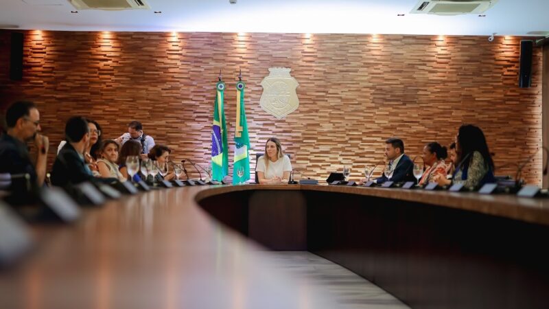SSPDS participa de reunião de alinhamento para construção de observatório de enfrentamento à violência contra a mulher