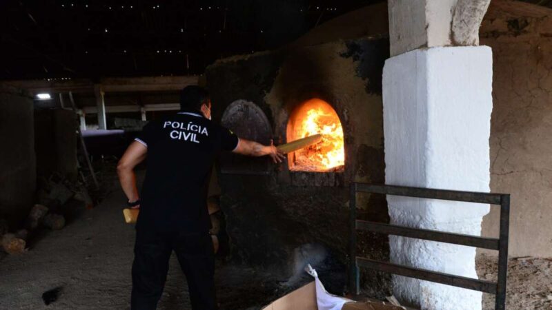 Polícia Civil fecha 2023 com três toneladas de drogas incineradas e mais de R$ 8 milhões em bens sequestrados