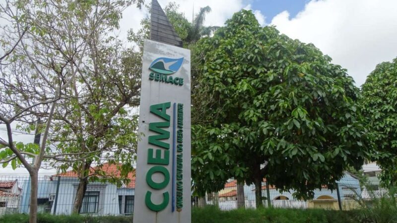 Coema delibera sobre projetos de energia renovável e carcinicultura nesta quinta-feira (14)