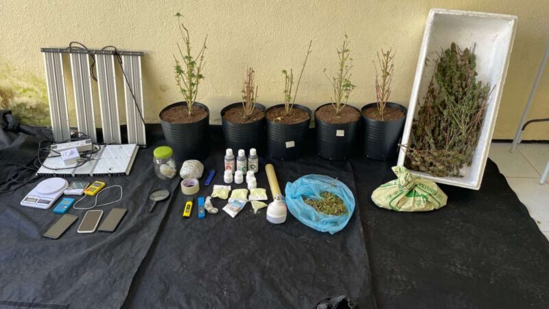 PMCE desativa imóvel utilizado como estufa para o cultivo de maconha em Messejana