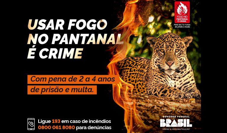 Governo Federal lança campanha “Fogo no Pantanal é Crime”