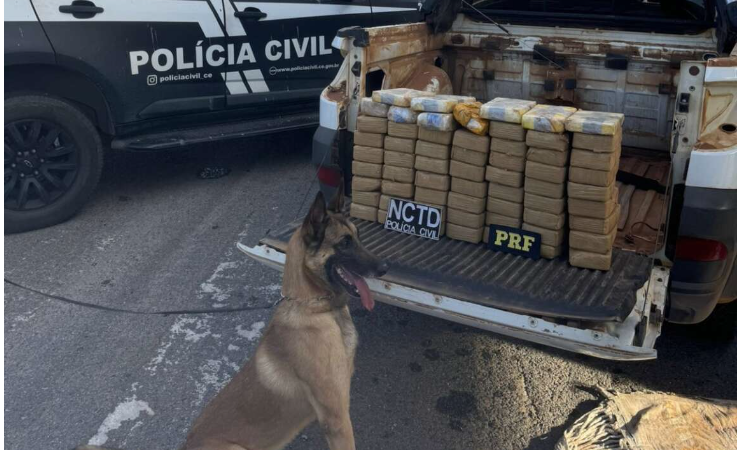 Operação conjunta entre PCCE e PRF resulta em captura e apreensão de mais de 64 kg de drogas em Icó