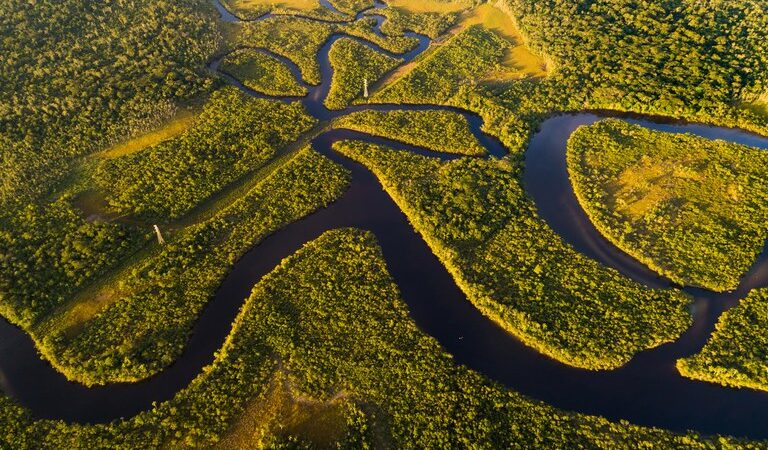 Com R$ 882 milhões, Fundo Amazônia atinge recorde histórico de aprovações este ano