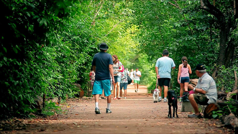 Neste domingo (10), Parque do Cocó inaugura o Espaço da Leitura