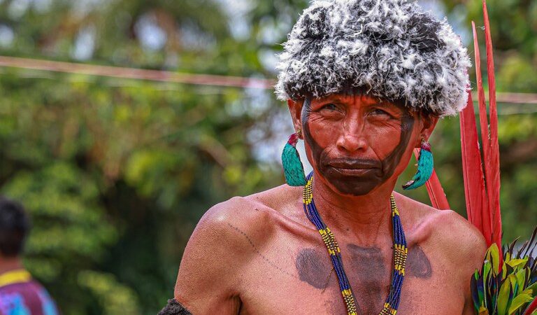 Após seis anos, reconhecimento de terras indígenas contribuem para a preservação ambiental
