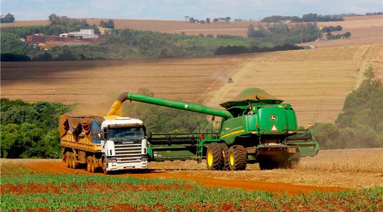 Estimativa de maio aponta safra de grãos recorde em 2025