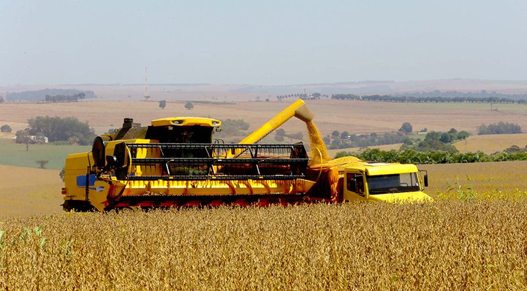 Com alta de 13,9%, estimativa de junho aponta safra recorde de grãos