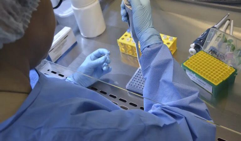 Anvisa autoriza ensaio clínico para vacina da gripe aviária