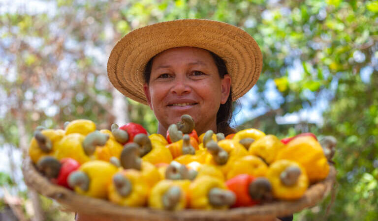 SDA coordenará política de centralização de compras de alimentos da agricultura familiar no Ceará