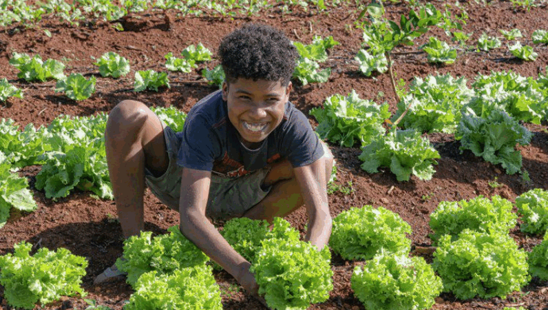 Brasil fora do Mapa da Fome: conheça a importância desse indicador