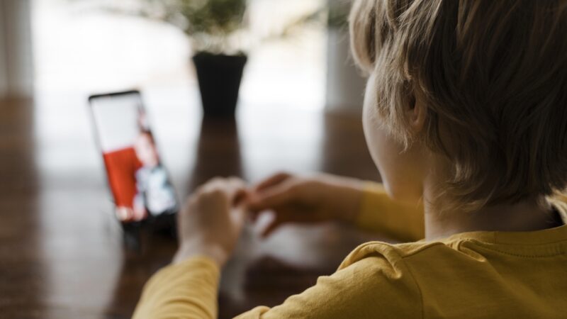 Comissão de Infância e Adolescência debate regulamentação de redes sociais em audiência nesta quinta