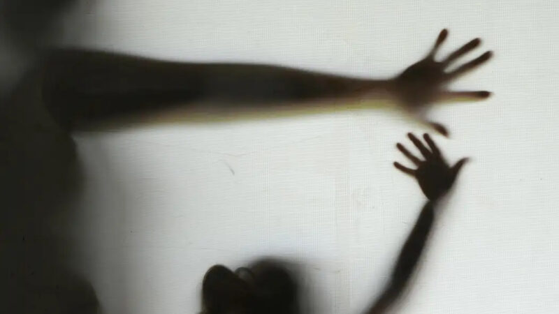 Alece homenageia instituições que atuam no combate a crimes sexuais no Ceará