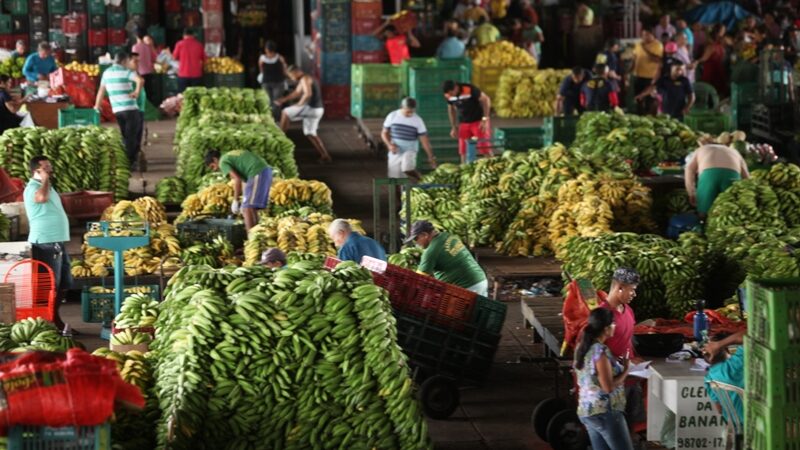 Sessão solene na Alece marca celebração dos 53 anos da Ceasa-CE