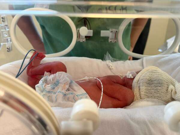 Rede Sesa registra os primeiros nascimentos de 2026