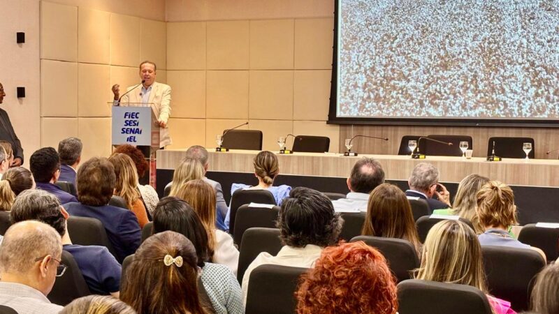 Ceará aposta na revitalização do algodão como motor estratégico da Rota da Moda