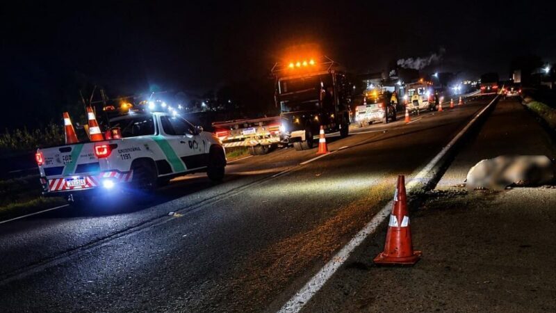 Cavalo solto provoca acidente com dois carros na BR-376 entre Nova Esperança e Alto Paraná
