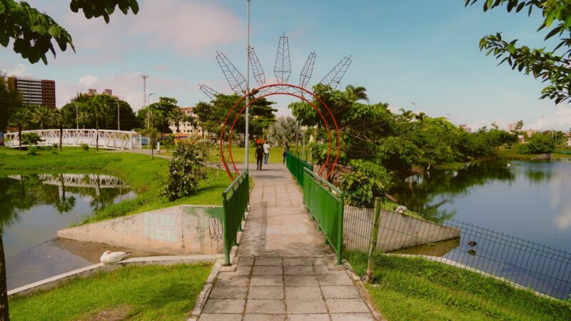 Prefeitura promove Parada Verde com atividades gratuitas para toda a família no Parque Rachel de Queiroz